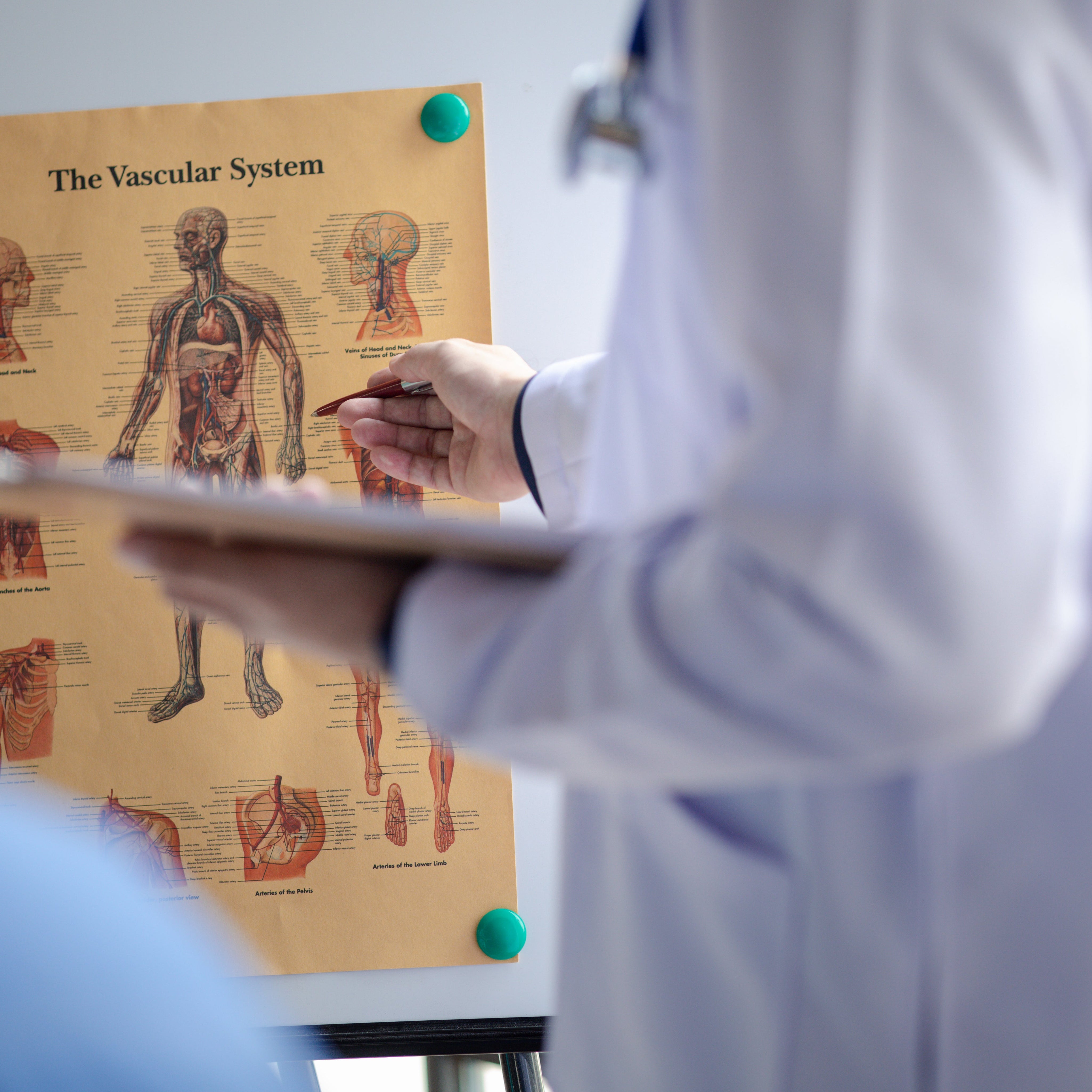 Wusstest du, dass natürliche Schilddrüsenextrakte jahrzehntelang erste Wahl waren?