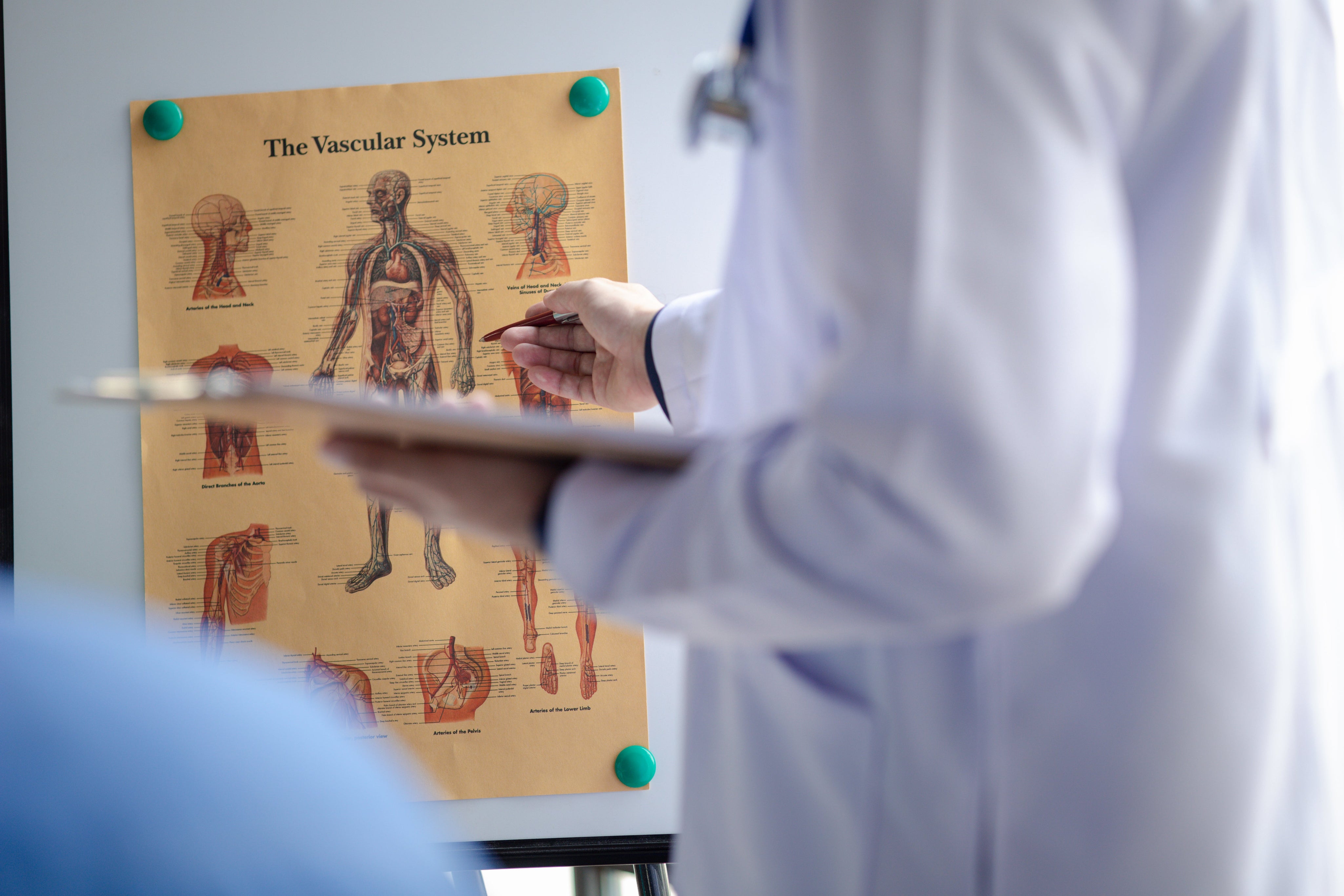 Wusstest du, dass natürliche Schilddrüsenextrakte jahrzehntelang erste Wahl waren?