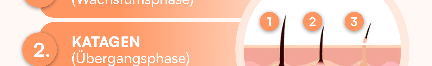 01_Grafik.png
