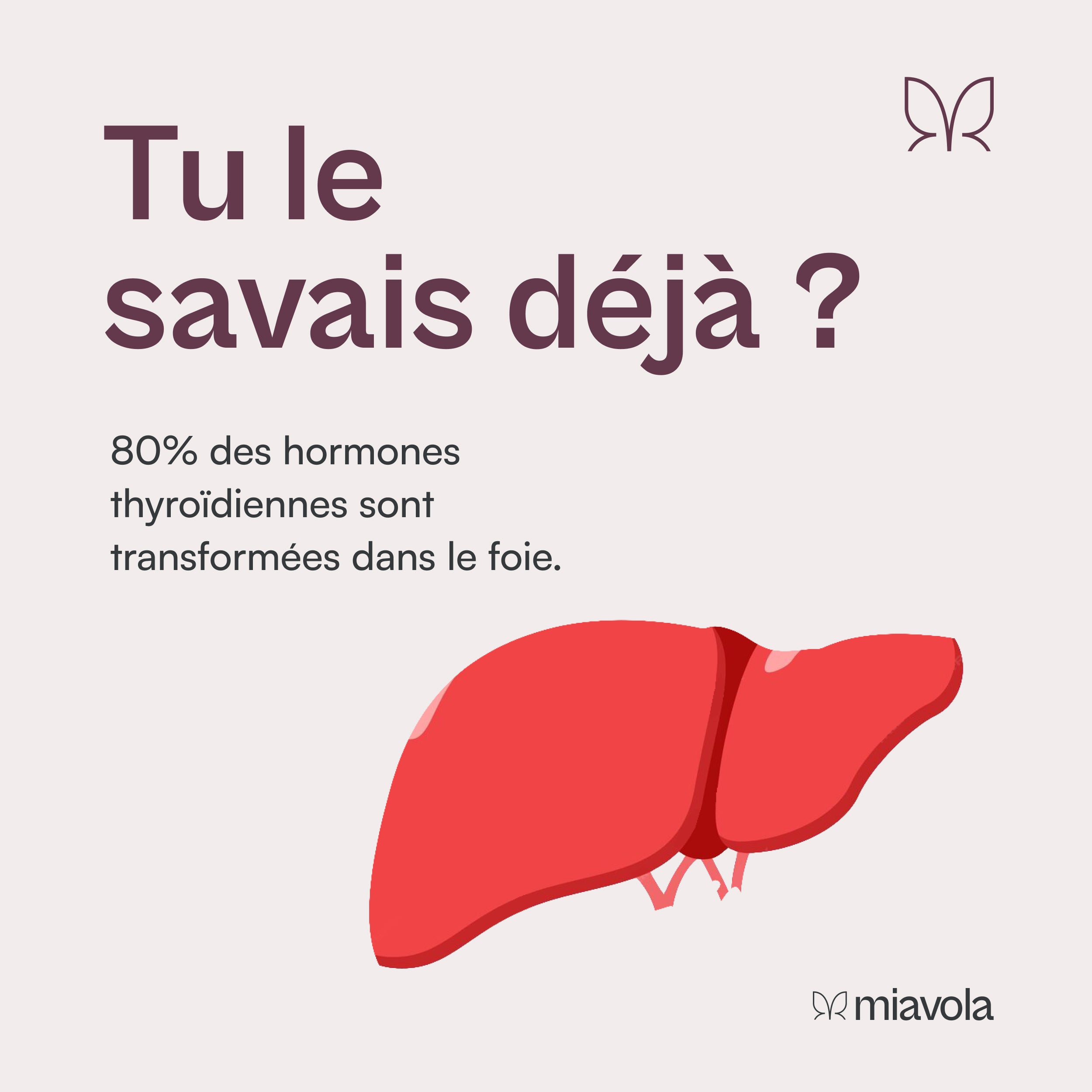 Le Duo de héros – réserve de 90 jours