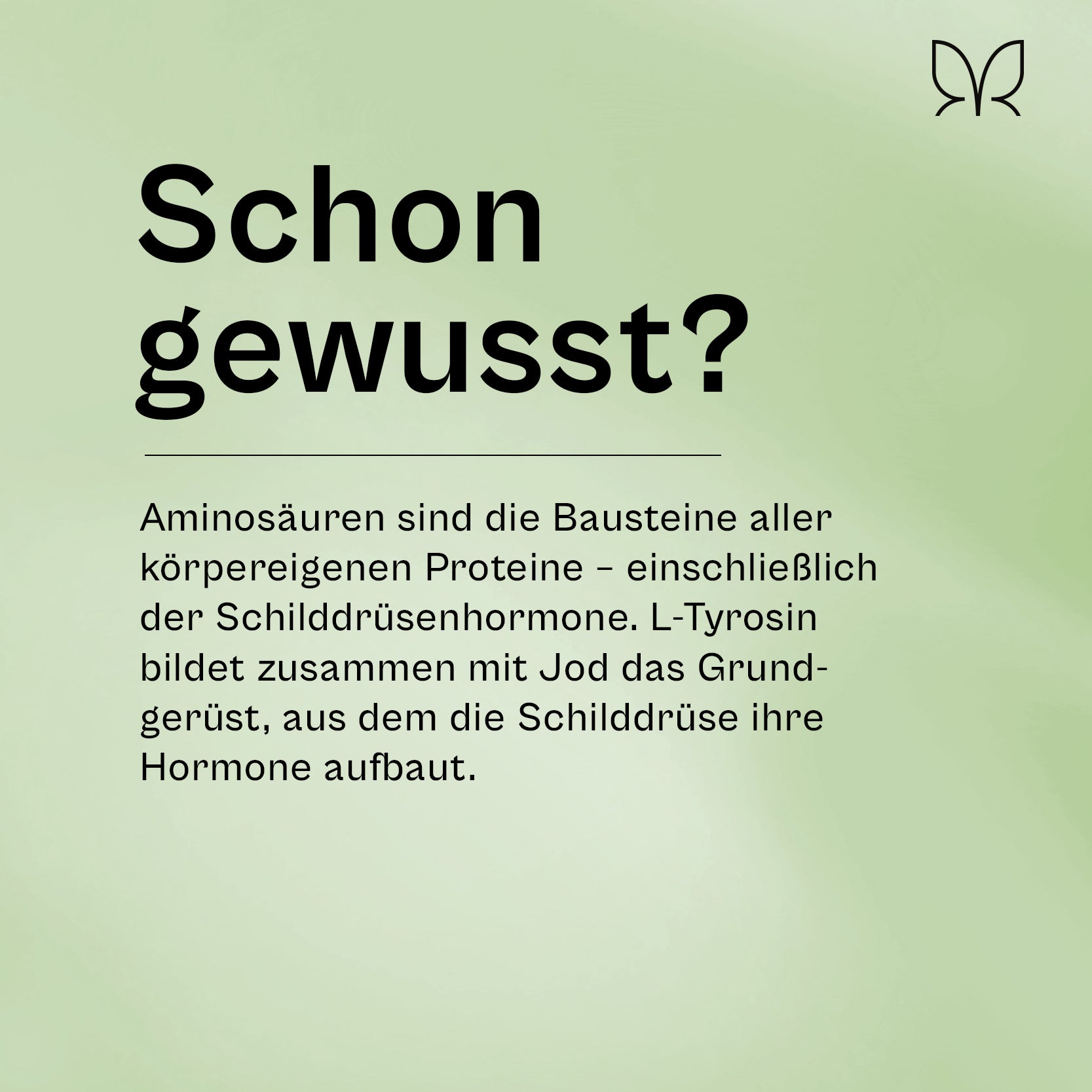 Das Protein-Bundle - 30 Tage Vorrat