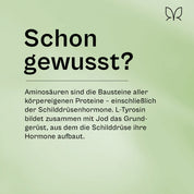 Das Protein-Bundle - 60 Tage Vorrat