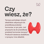 Producent - Kompleks tarczycy