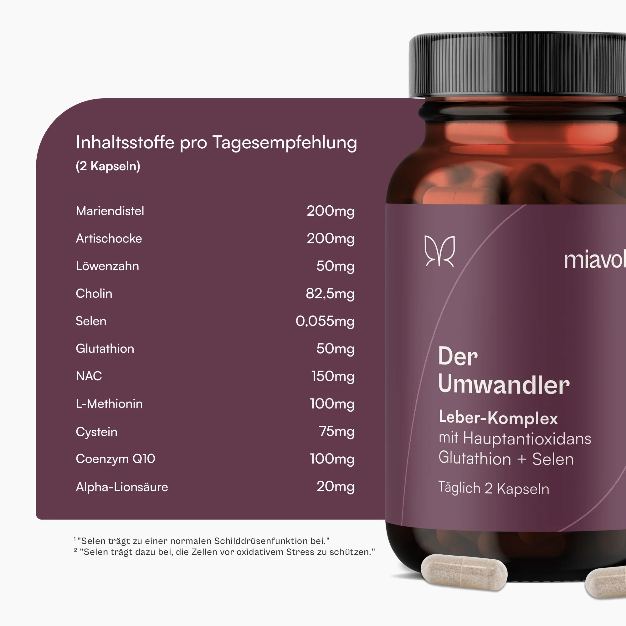 Der Umwandler®