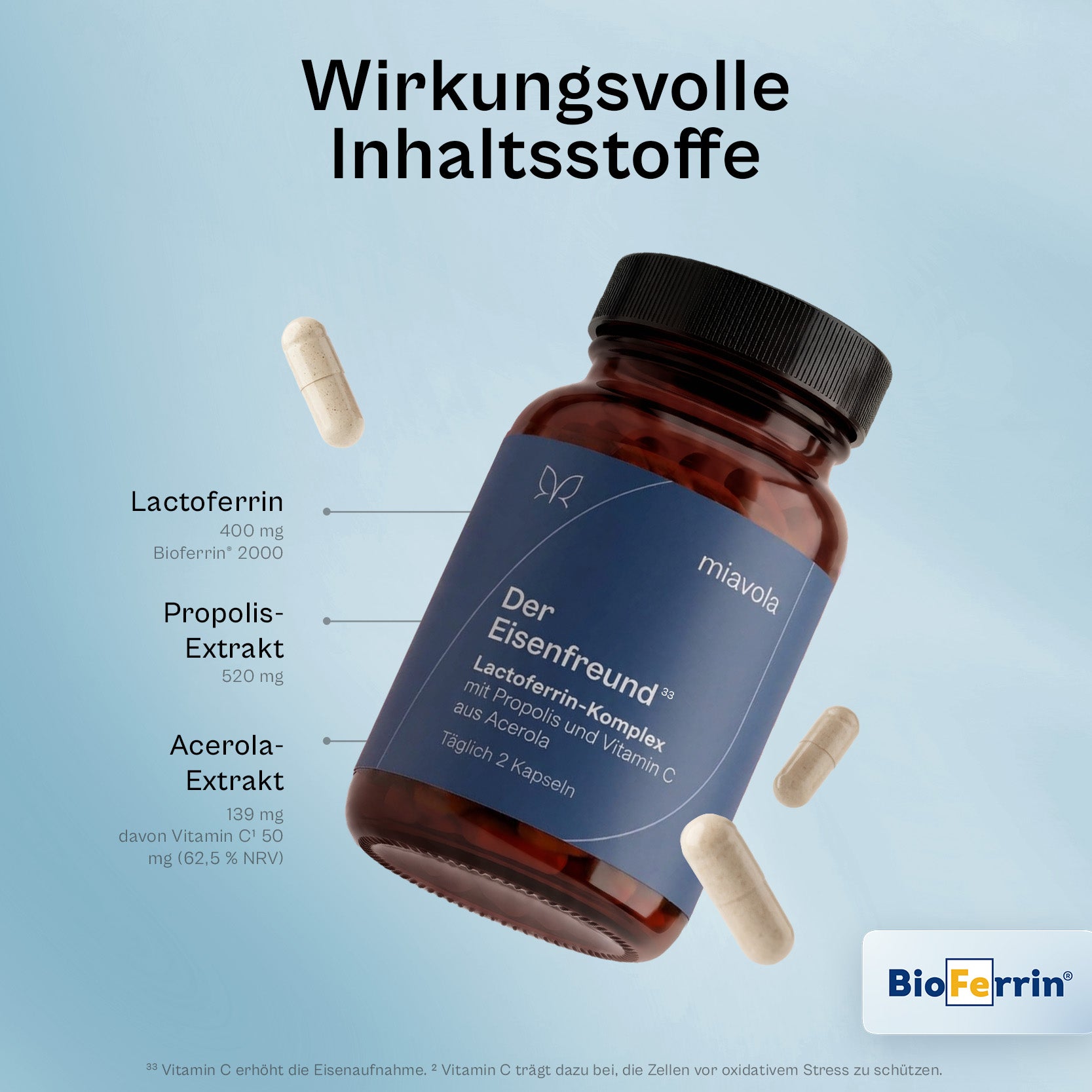 Der Eisenfreund