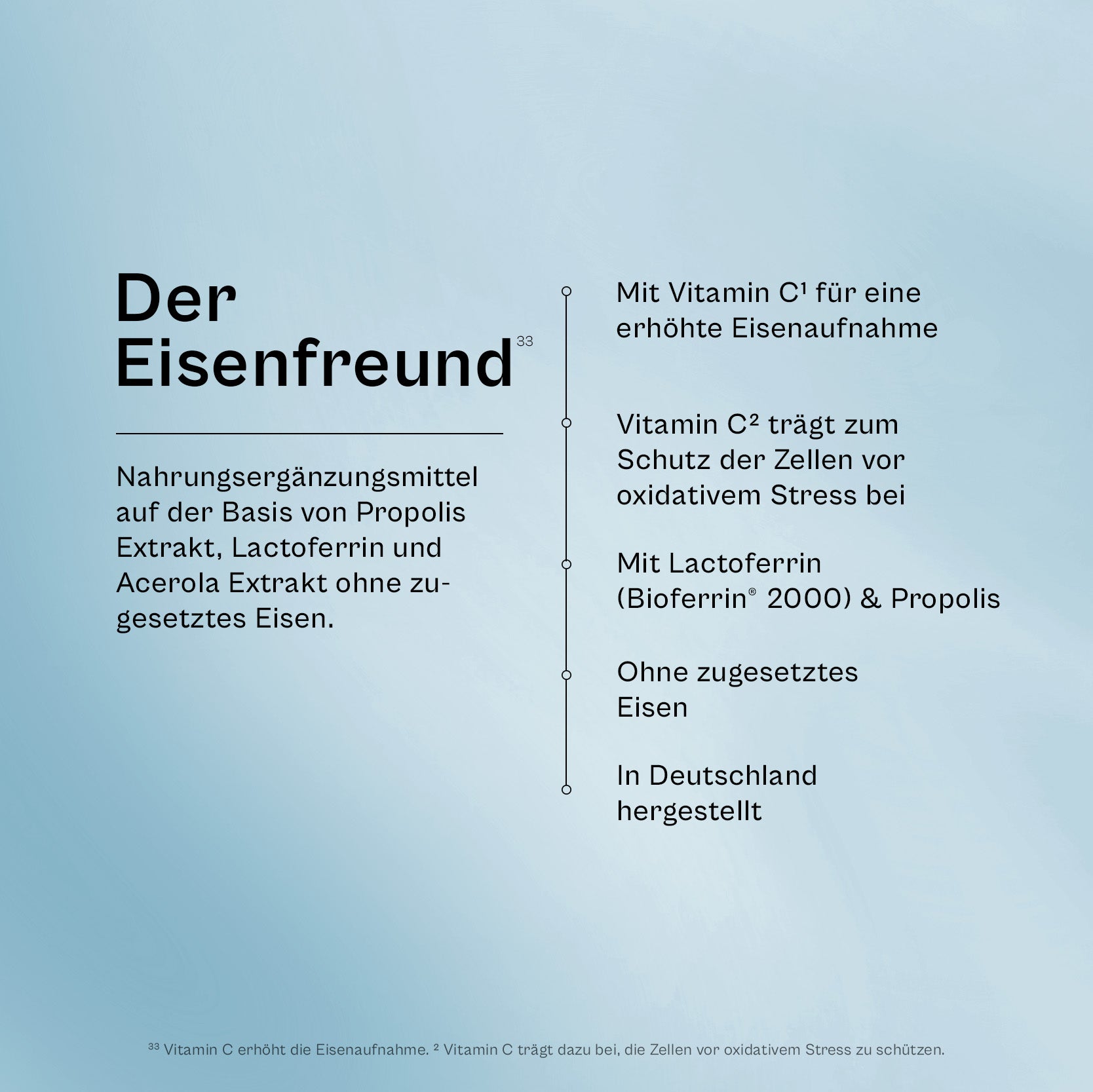 Der Eisenfreund