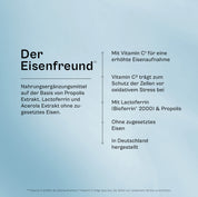 Der Eisenfreund