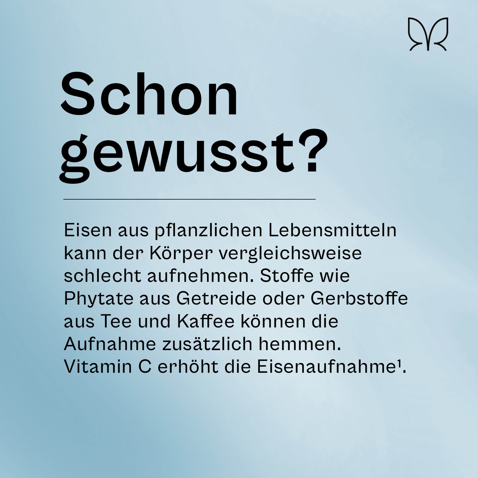 Der Eisenfreund