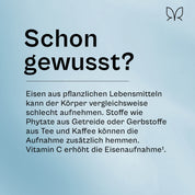 Der Eisenfreund