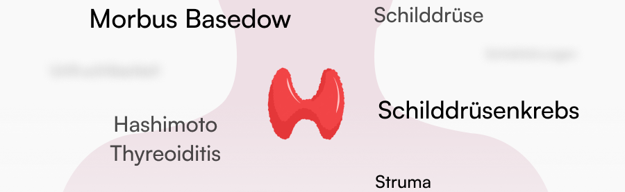 Grafik_Blogartikel_1.1.png