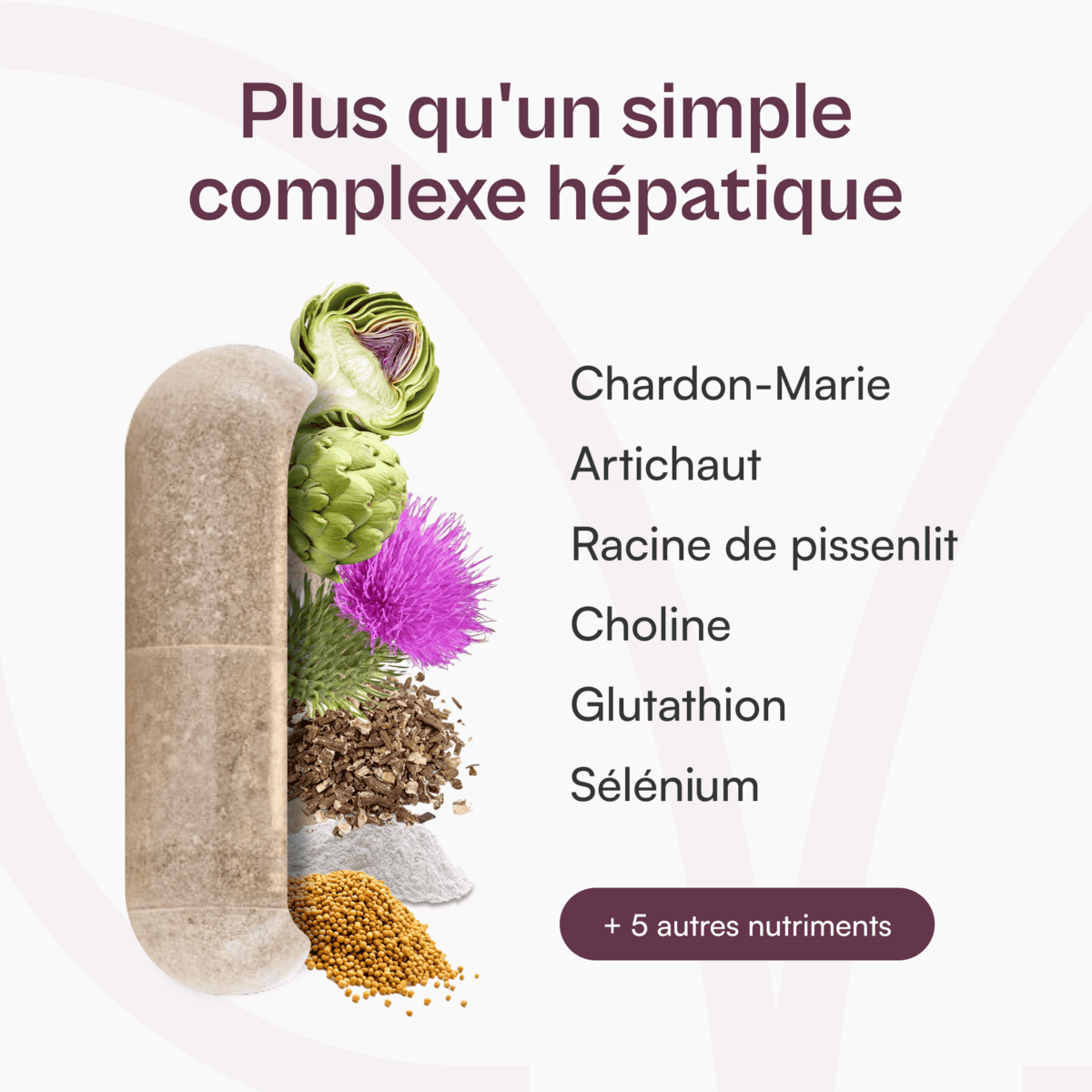 Conversol® - complexe hépatique