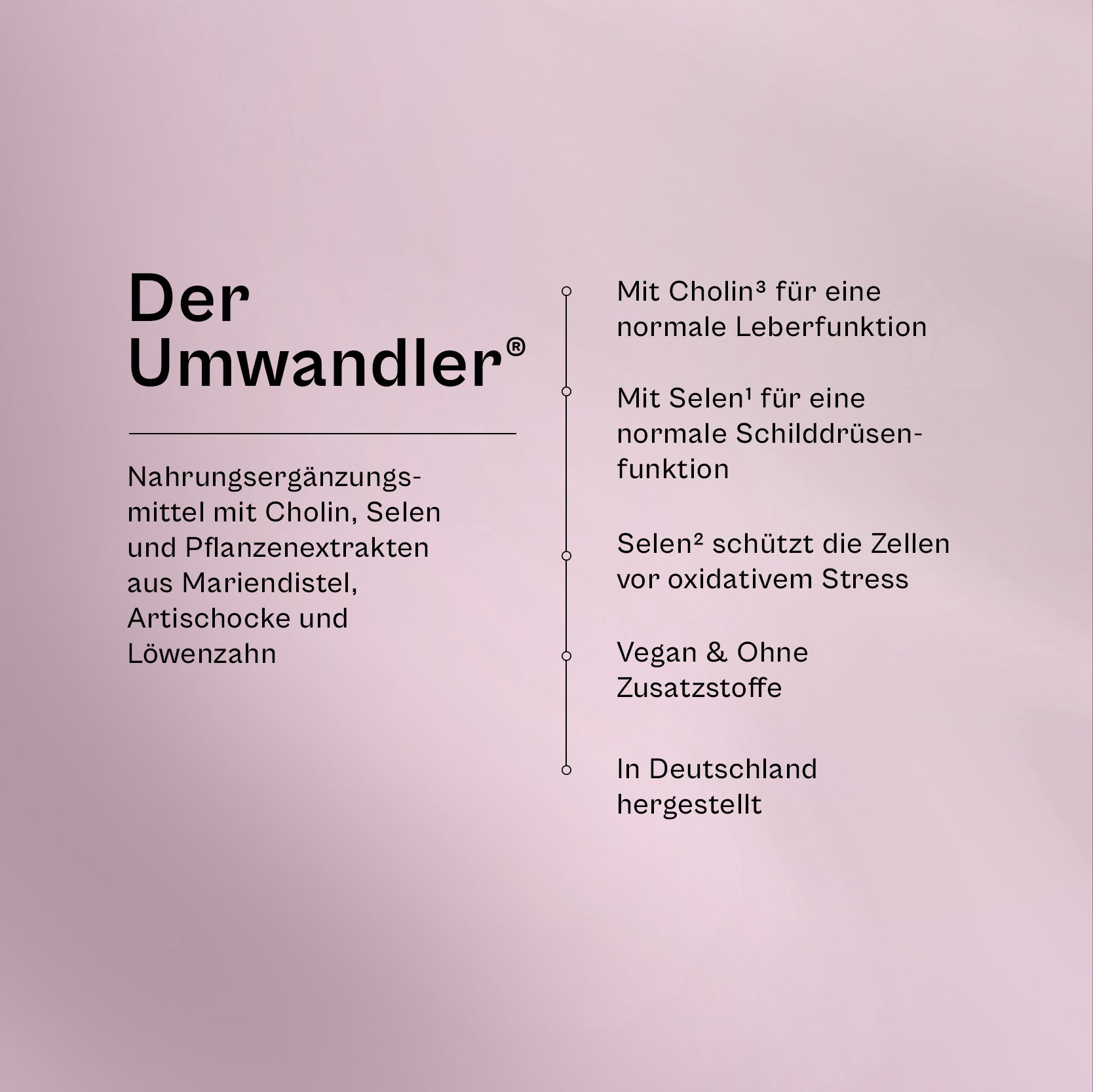 Der Umwandler®
