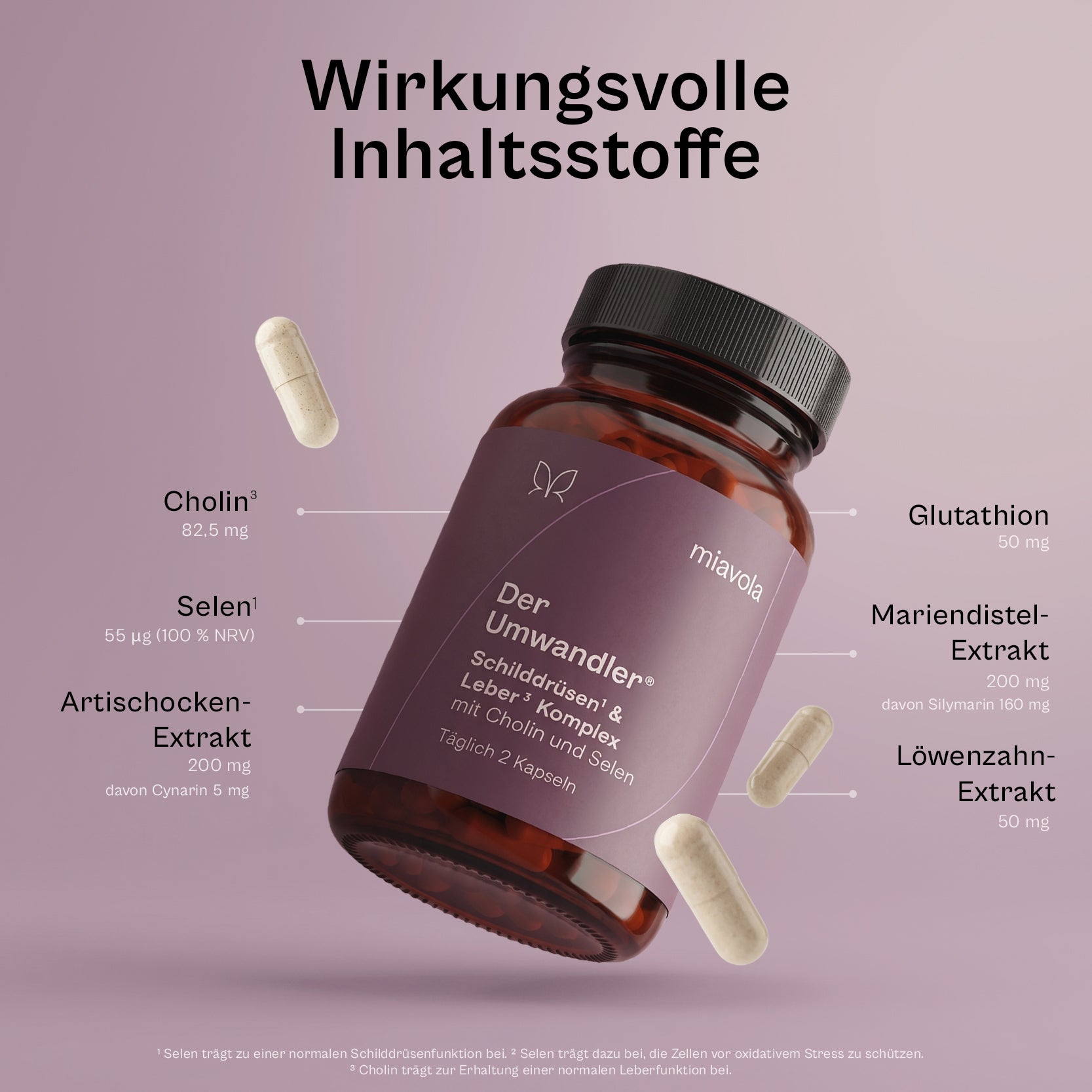 Der Umwandler® – miavola
