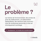 Conversol® - complexe hépatique