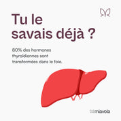 Conversol® - complexe hépatique